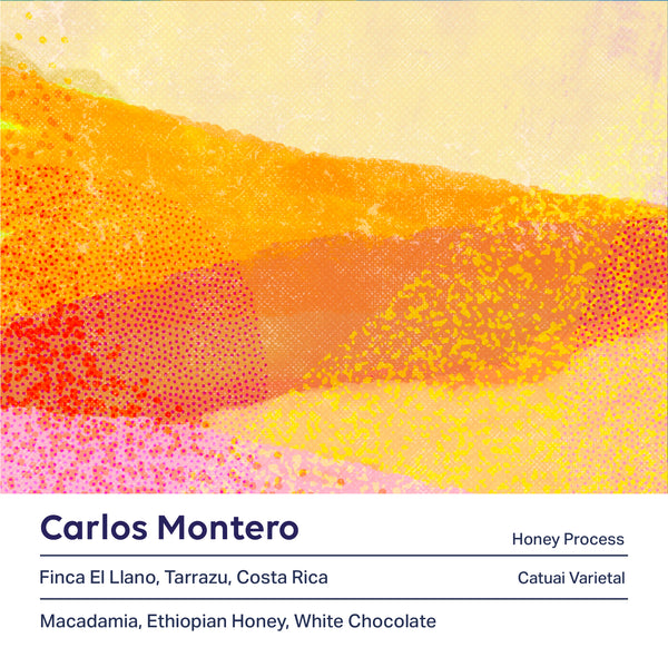 Carlos Montero Honey (Costa Rica)